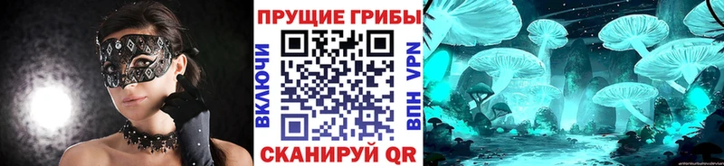 Галлюциногенные грибы Cubensis  Купить где  Губкин 
